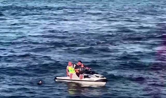 Eminönü'nde martı operasyonu