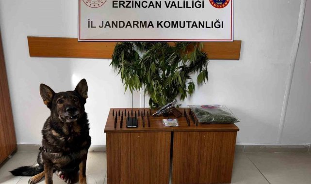 Erzincan'da jandarma suç olaylarına geçit vermiyor