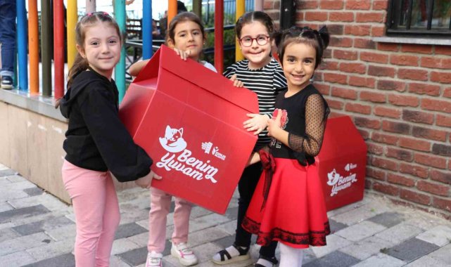 Esenler'de minik eller can dostları için yuva yaptı