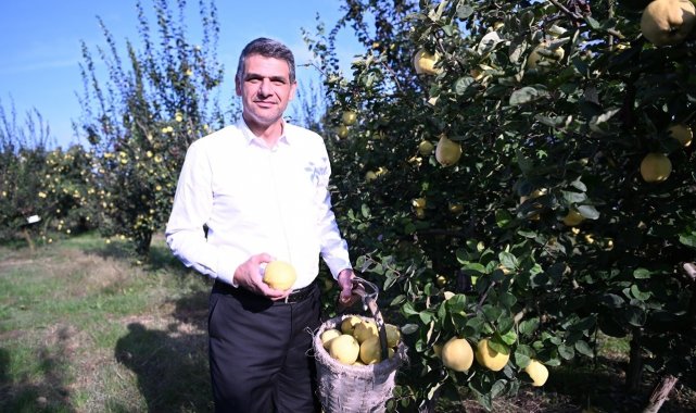 Eşme Ayva Festivali 20 Ekim'de düzenlenecek