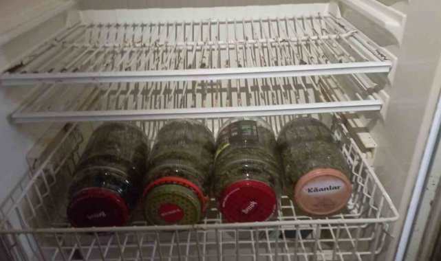 Esrarı kavanoz içinde buzdolabında saklamış