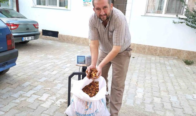 Hisarcık elma kurusunun fiyatı 35 TL'ye yükseldi