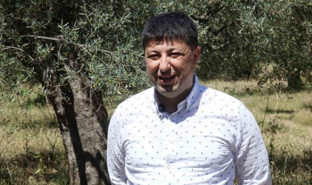 İşte sahte zeytinyağını anlamanın püf noktaları