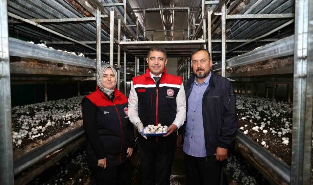 İyi tarım uygulama alanında inceleme