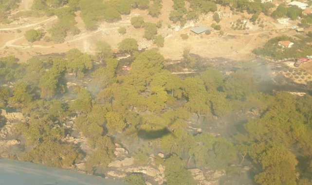 İzmir'de tarım arazisinde çıkıp ormana sıçrayan yangın söndürüldü