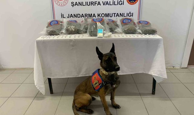 Jandarmadan uyuşturucu operasyonu: 3 gözaltı