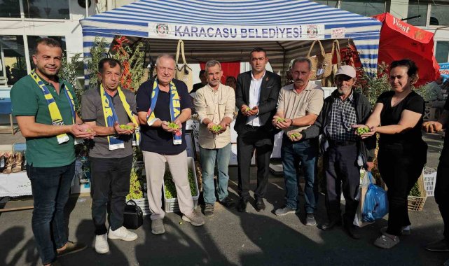 Karacasu Zeytini festivalle tanıtıldı