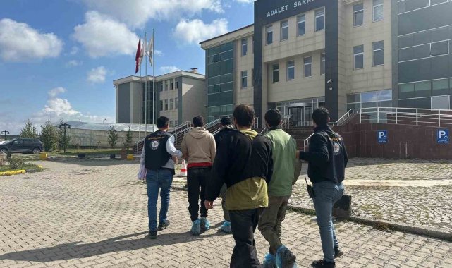 Kars'ta 7 düzensiz göçmen yakalandı