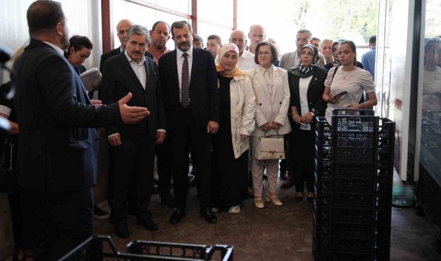 Kendi ürettikleri meyve kasasından 3 milyon lira tasarruf ettiler