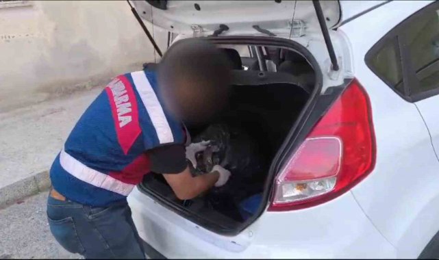 Mersin'de jandarmadan uyuşturucu operasyonu: 2 tutuklu