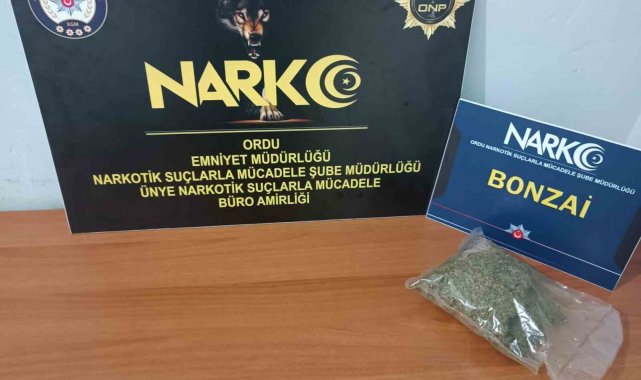 Ordu'da uyuşturucu operasyonlarında 2 tutuklama