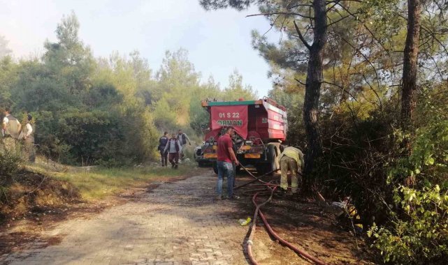 Osmaniye'de orman yangını başladı