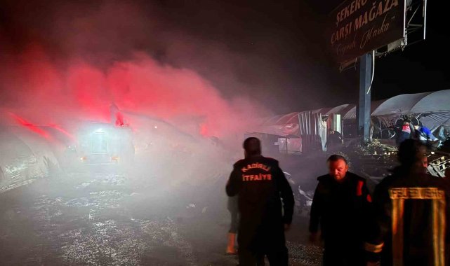 Osmaniye'de serada yangın