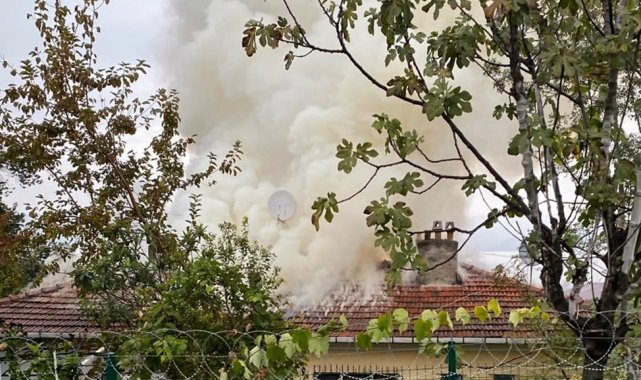 Sakarya'da tek katlı evin çatısı alevlere teslim oldu