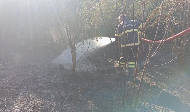 Samandağ'da bahçe yangını söndürüldü