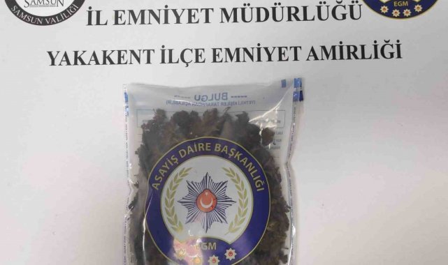 Samsun'da uyuşturucu operasyonları: 5 gözaltı