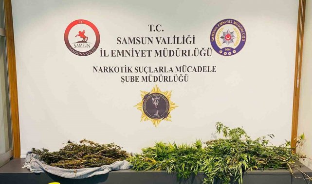 Samsun'da uyuşturucu operasyonu