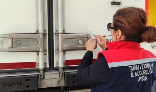Söke'de 3 tır işlenmiş balığa ihraç edilmek üzere ön sağlık sertifikası düzenlendi