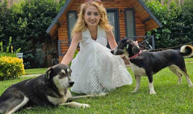 Terapi eğitimi verilen sokak köpekleri, hastalara ümit oluyor