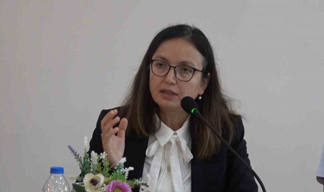 Vali Kaya, "Hastane yolu en kısa zamanda yapılacak"