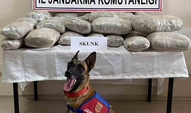 Van'da uyuşturucu operasyonunda 3 kişi tutuklandı
