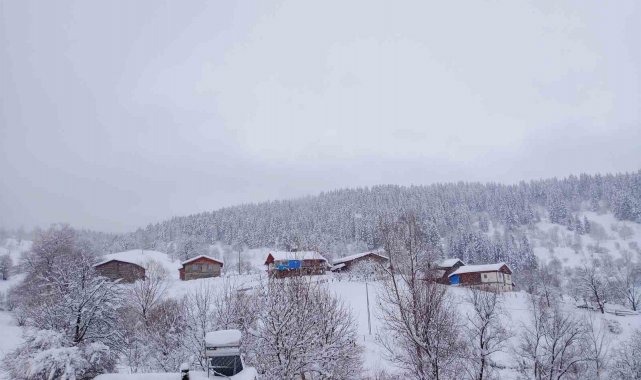 Artvin'de kar kalınlığının 1 metreyi bulduğu köyde gece gündüz çatı temizleniyor