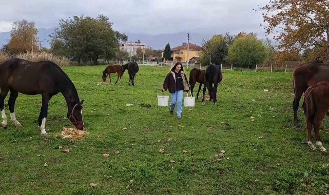 At sevgisiyle başlayan hobi hipodromda devam ediyor: Kurduğu tesiste yarış atı üretiyor