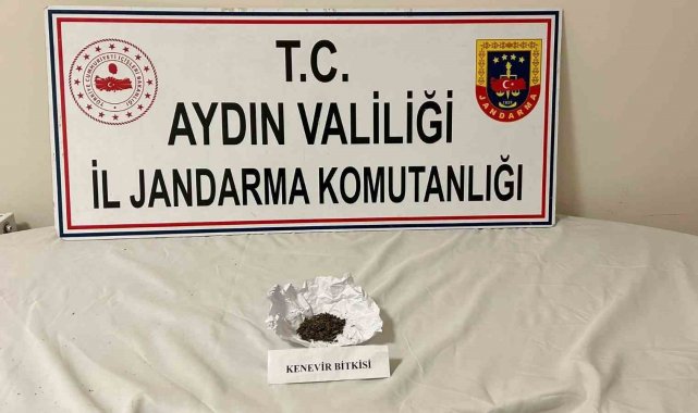 Aydın jandarmasından uyuşturucu operasyonu