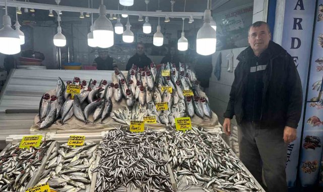 Balık tezgahlarında Hamsi, Çinekop ve Palamut bolluğu