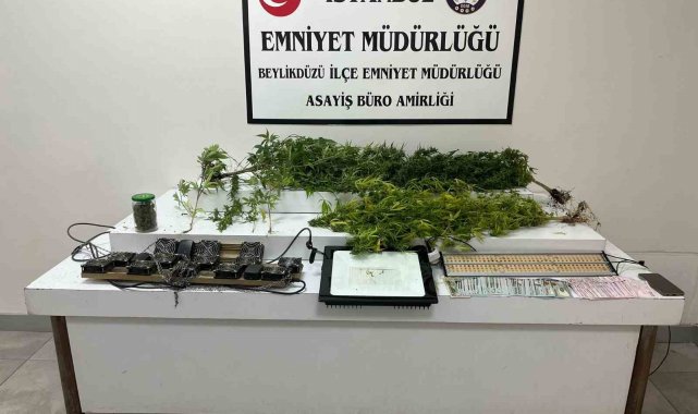 Beylikdüzü'nde uyuşturucu serasına çevrilen eve baskın: 1 gözaltı