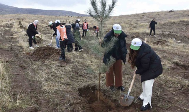 Bitlis'te bin adet fidan dikildi
