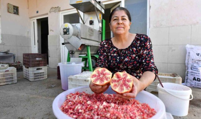 Büyükşehir Belediyesinden üreticiye 'Nar Taneleme Makinesi' desteği