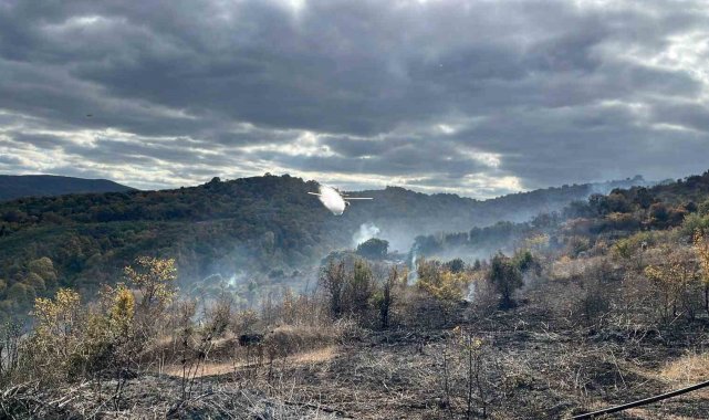Çanakkale'deki yangında 2 hektarlık alan zarar gördü