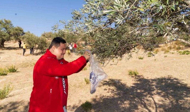 Engelli bireyler zeytin hasadı sayesinde sosyalleşti