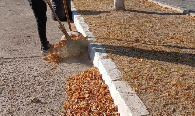 Germencik'te 'sonbahar' temizliği