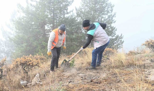 Isparta Belediyesi Gölcük Tabiat Parkı'nda fidanlar toprakla buluşturuldu