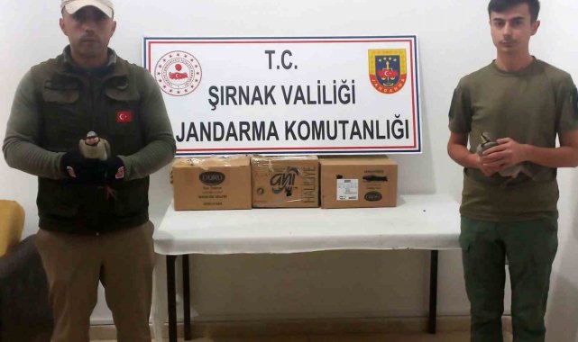 Jandarmanın dikkati ile 6 kınalı keklik kurtarıldı
