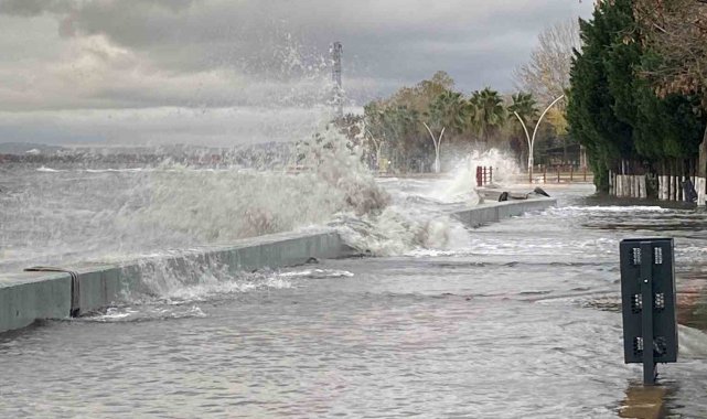 Kocaeli'de deniz taşarken 2 tekne battı, ağaçlar ise yerlerinden söküldü
