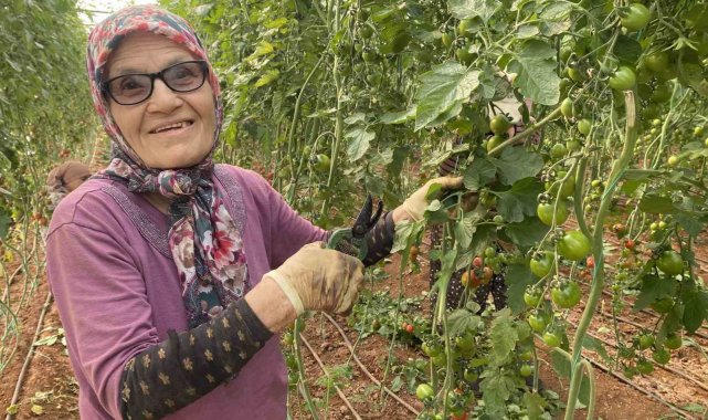 Kocası 5 çocuğuyla bırakıp kaçınca 46 sene ev temizledi, şimdi ise 75 yaşında serada çalışıyor