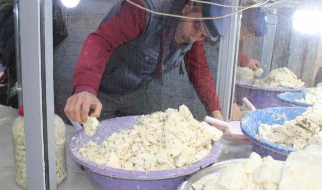 Siirt'te kışlık peynir satışa çıktı