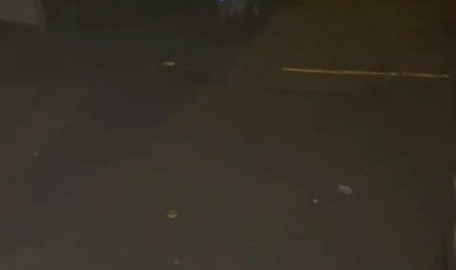 Tilkiler mahalleyi mesken tuttu