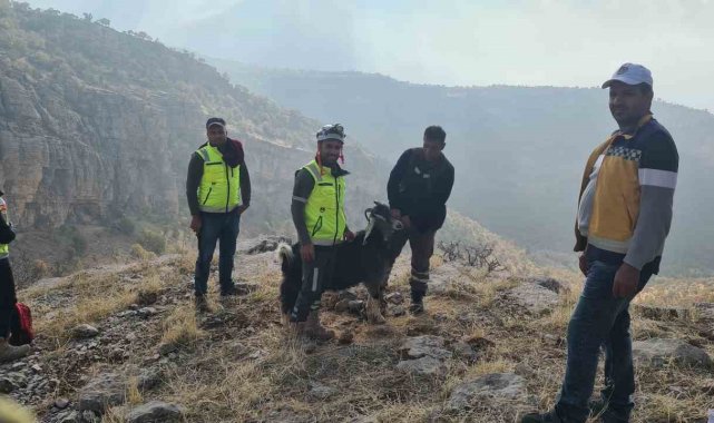 Uçurumda mahsur kalan keçiyi ERKUT ekipleri kurtardı
