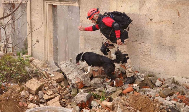 Uluslararası 'Arama Kurtarma Köpekleri Şampiyonası' Çekmeköy'de yapıldı