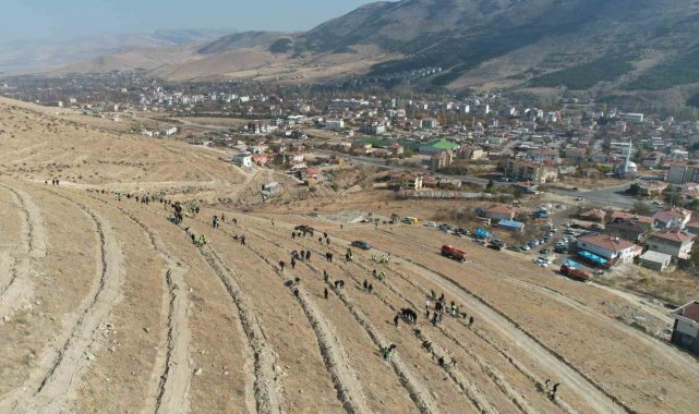 Yahyalı'da binlerce fidan toprakla buluştu