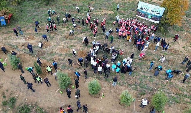 Yalova'da 3 bin 200 fidan toprakla buluştu