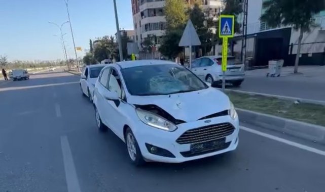 Yaya yolunda kadını öldüren yaşlı sürücüye 6 yıla kadar hapis istendi