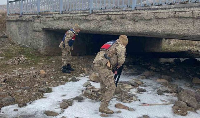 Ağrı'da "Türkiye Duman Uygulaması" kapsamında denetim: 4 bin 375 kişi ve 790 araç sorgulandı