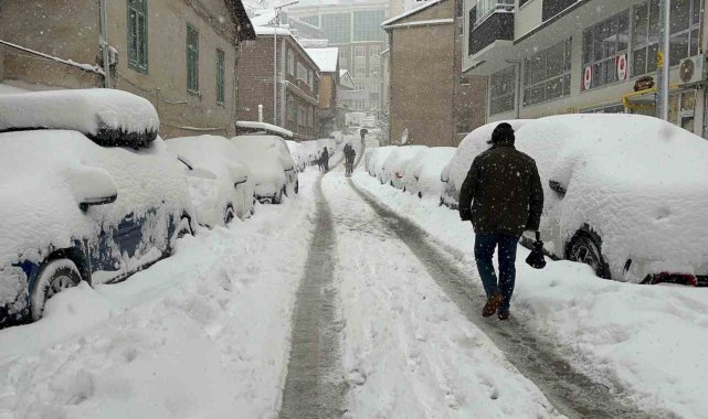 Artvin'de kar esareti