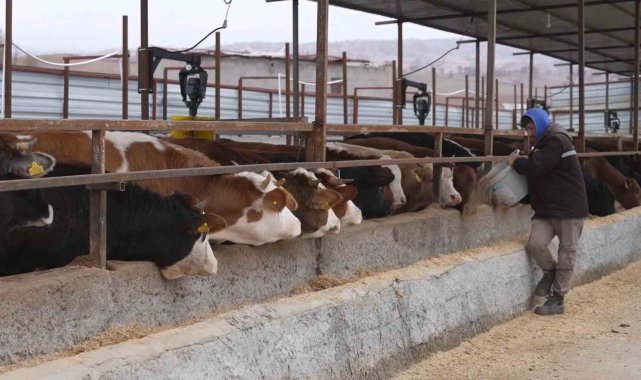 Az hayvanla başladılar, destekler sayesinde şimdi dev çiftlik kurmaya hazırlanıyorlar