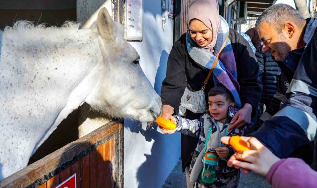 Beyoğlu'nun özel çocukları atlı terapide buluşuyor